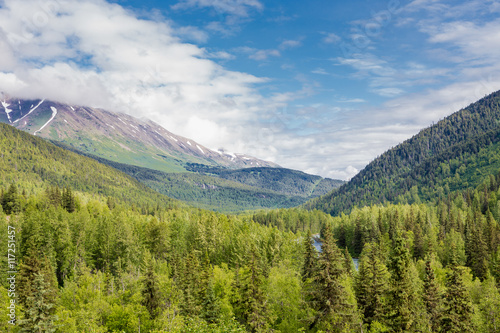Evergreen Covered Mountains in Alaska