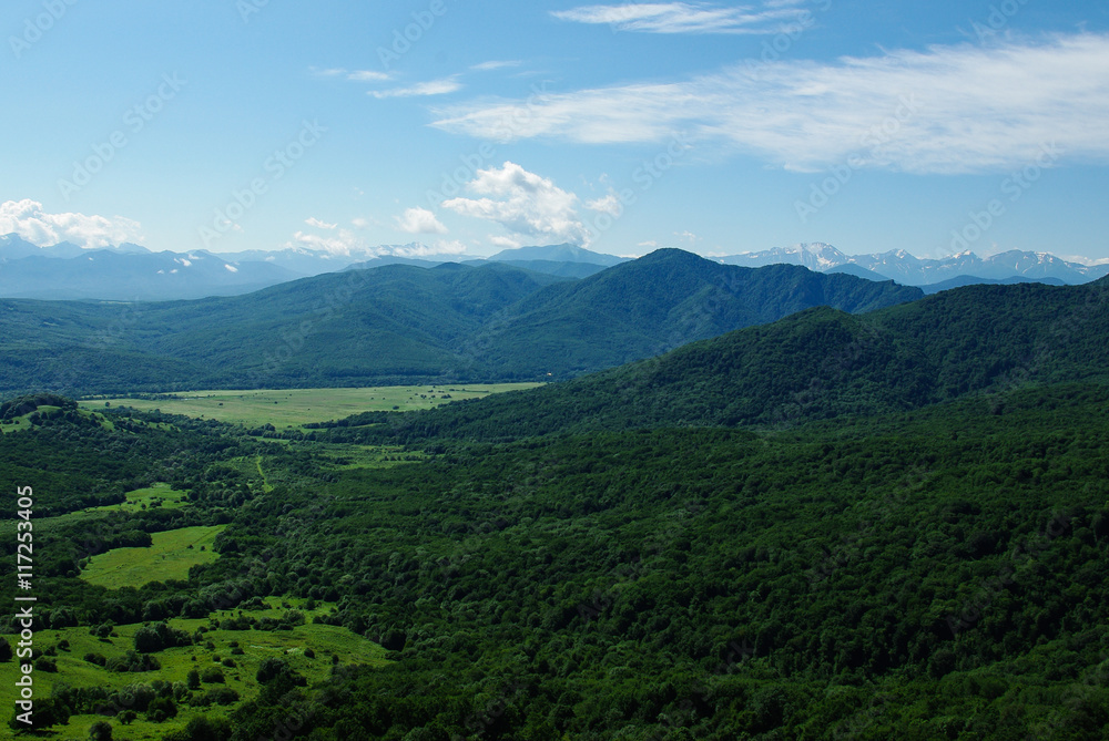 Mountain landscape forest sky summer Mountain landscape forest sky summer