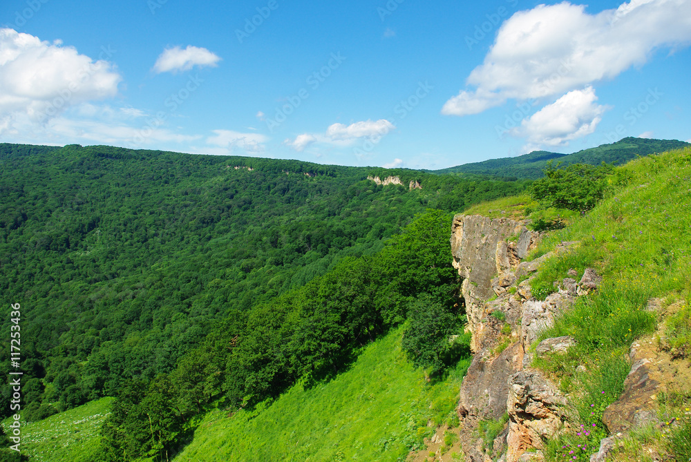 Mountain landscape forest sky summer