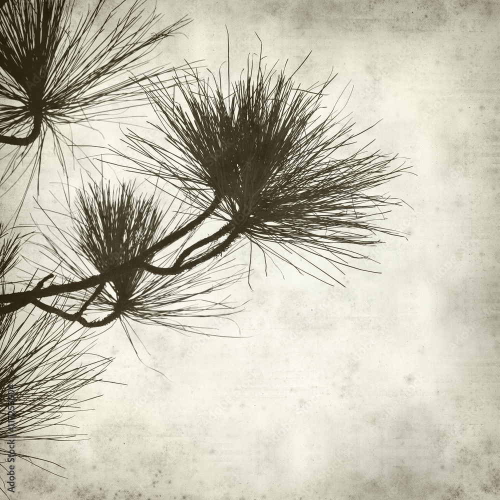 Obraz premium textured old paper background