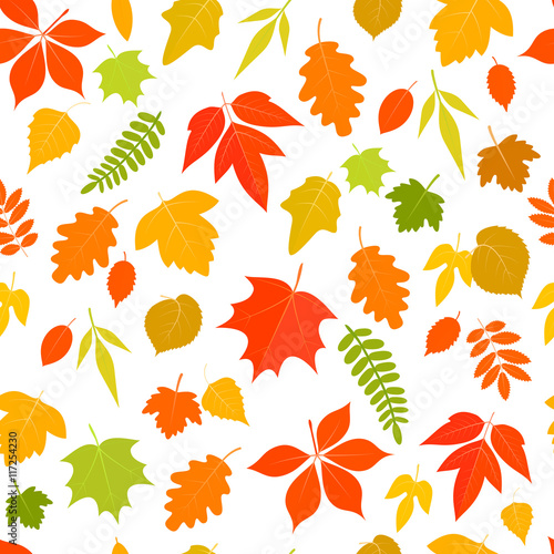 Seamless pattern of colorful cartoon autumn leaves on a white background. Vector stock illustration.