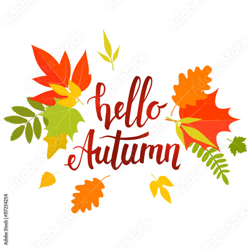 Handwritten lettering, Hello autumn with yellow leaves. Vector stock illustration.