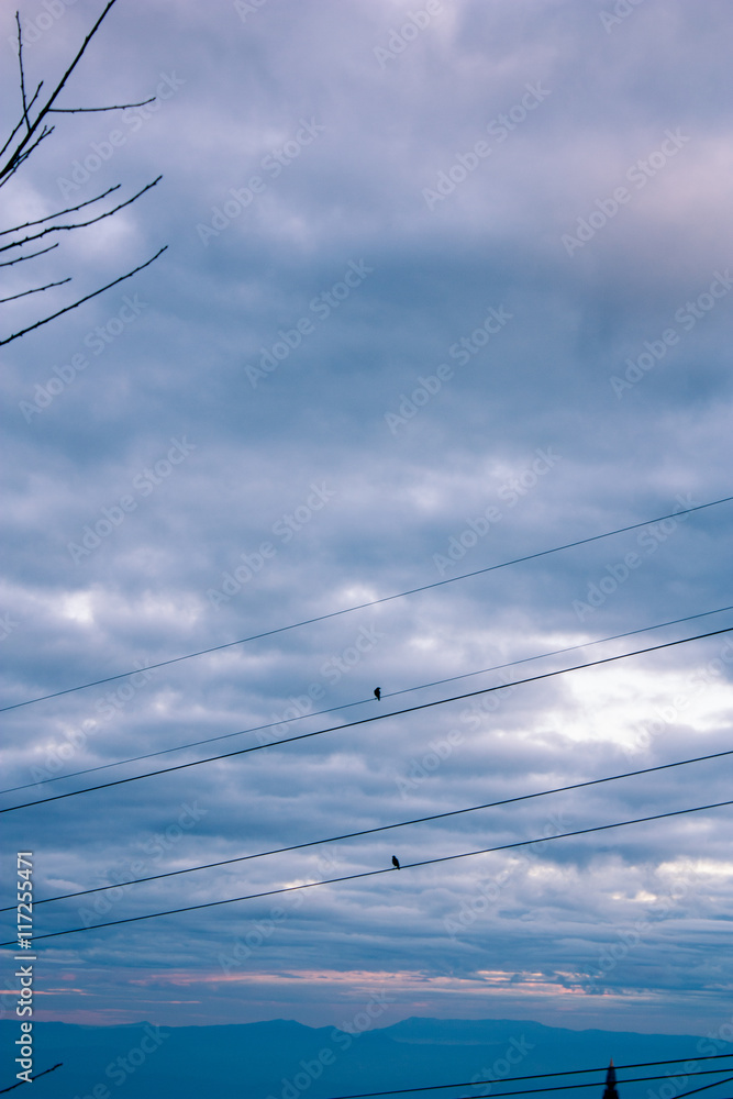 Fototapeta premium blue cloud and little two bird