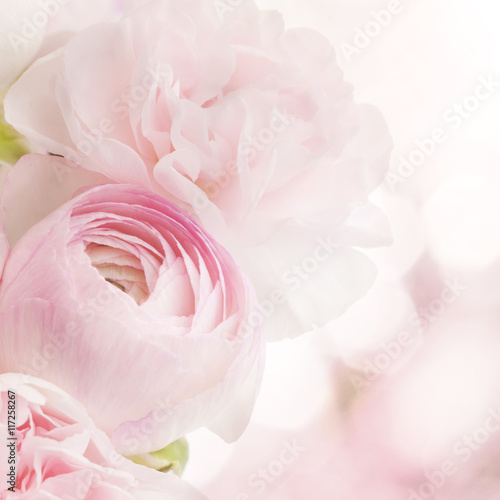 background of pink flowers © pulia