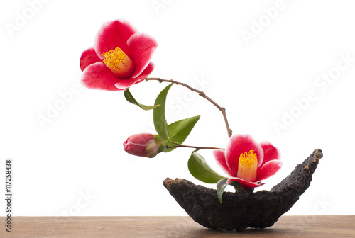 ikebana with camellia flowers photo