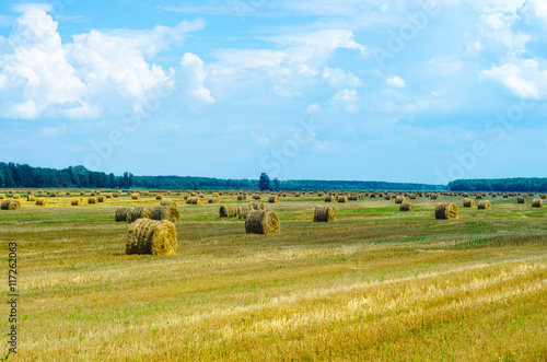 haystacks on the field