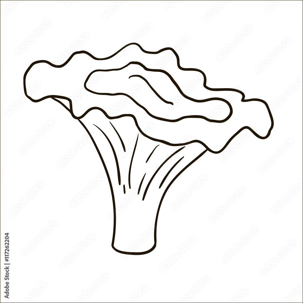 Cartoon contour mushroom isolated on white background. Chanterel Cartoon contour mushroom isolated on white background. Chanterel