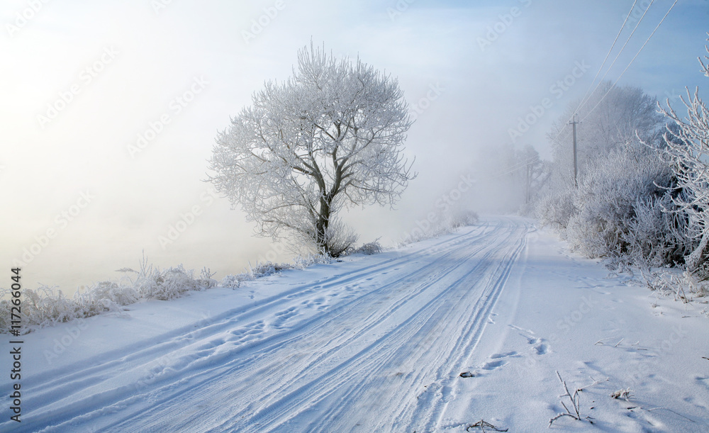 magical frost magical frost