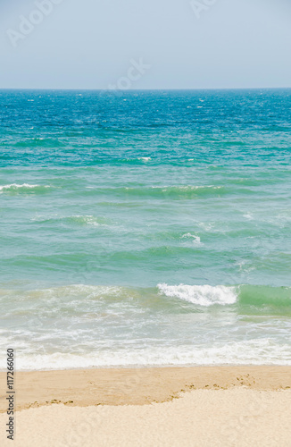 The Black Sea shore  seaside and beach with gold sands  blue water