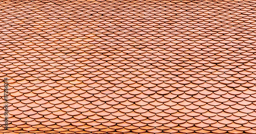 red tiles roof for background.