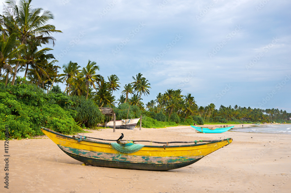 Green palms and fishermen's boats at empty beach in Weligama, Sr