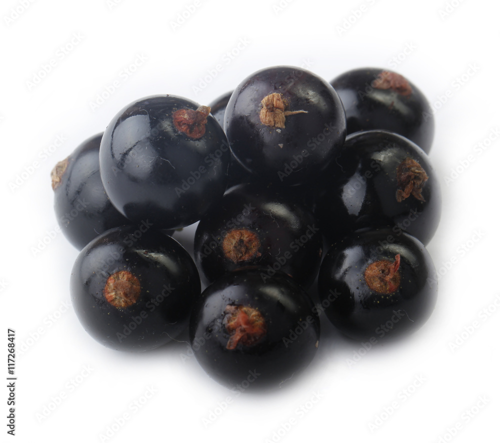 black currants isolated black currants isolated