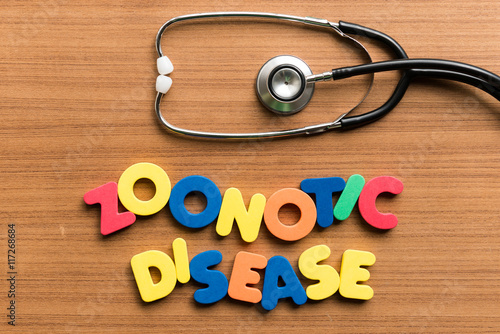 zoonotic disease colorful word with stethoscope photo