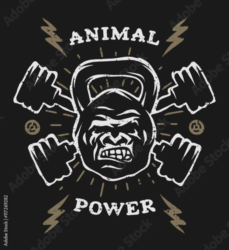 Two barbell and head gorilla weight.