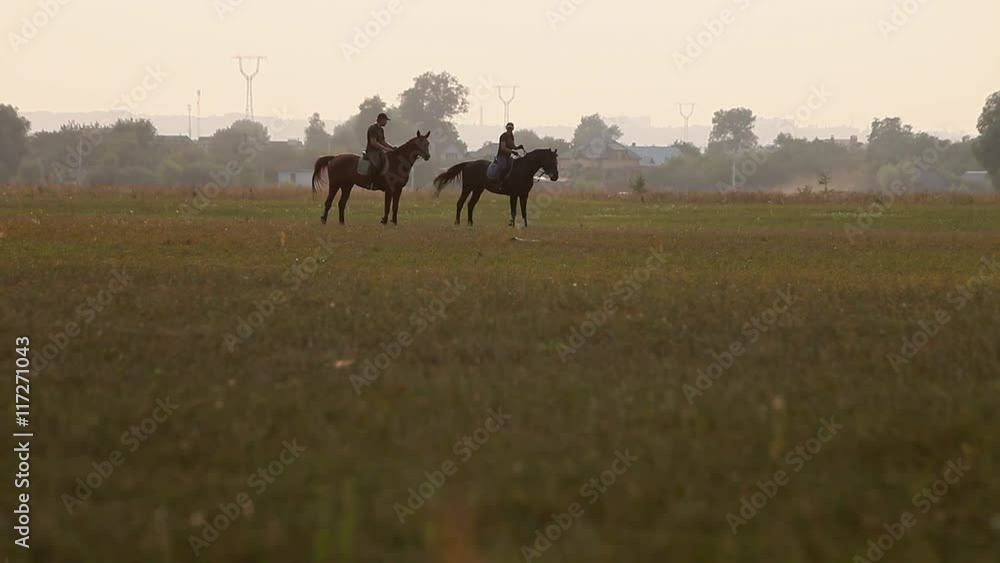 Person riding horse at the field in summer sunset Person riding horse at the field in summer sunset