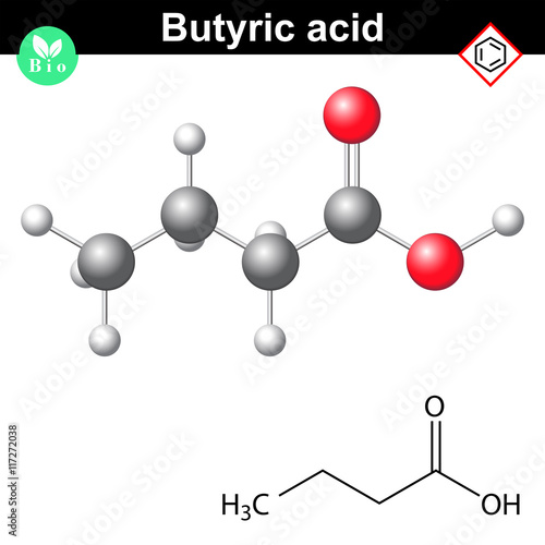 Butanoic acid molecule