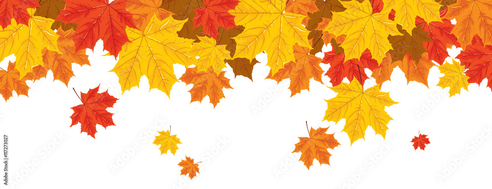 print with autumn leaves print with autumn leaves