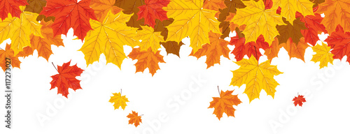 print with autumn leaves