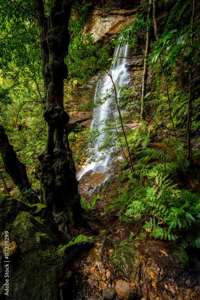 Waterfalls in Blue Mountains national park Waterfalls in Blue Mountains national park
