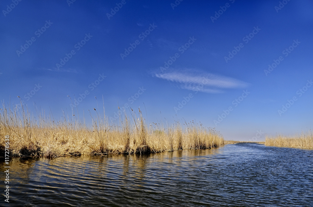 the water surface of the river and the reeds along the banks. The bright spring blue sky.
the water surface of the river and the reeds along the banks. The bright spring blue sky.