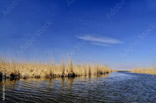 the water surface of the river and the reeds along the banks. The bright spring blue sky.
