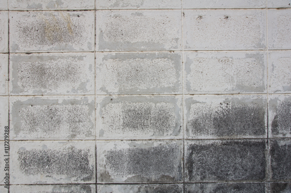 Fototapeta premium There are the brick wall. It is good background.