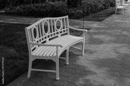 Chair in the garden,black and white background
