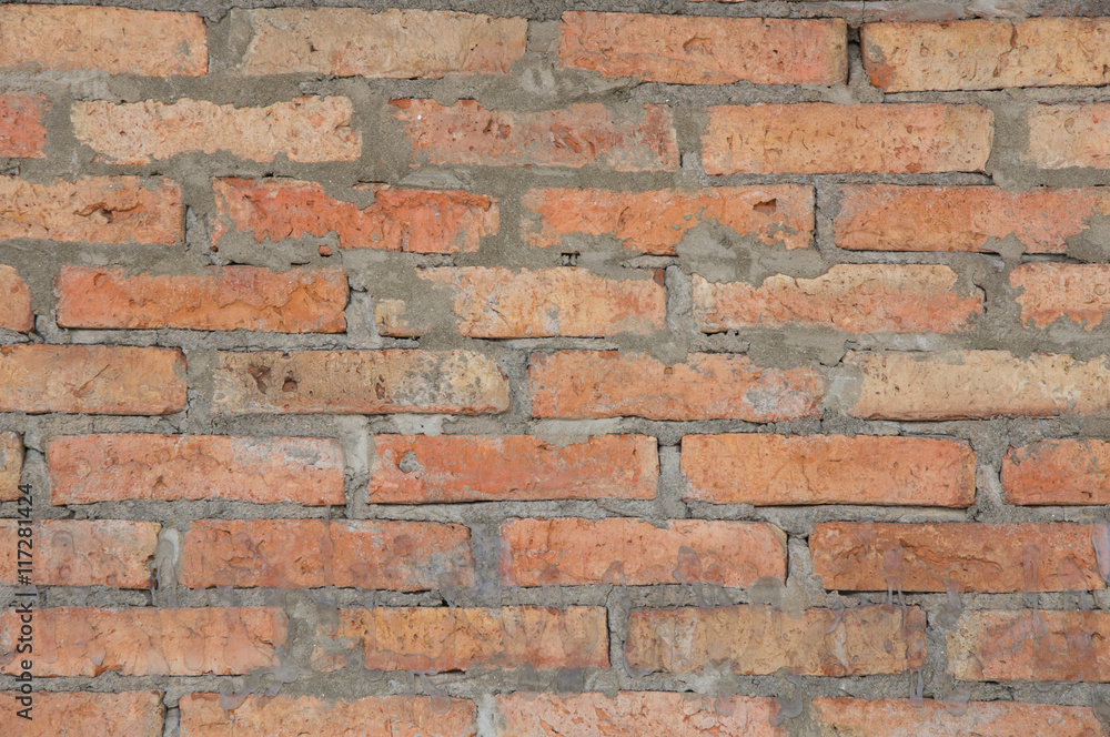 Fototapeta premium There are the brick wall. It is good background.