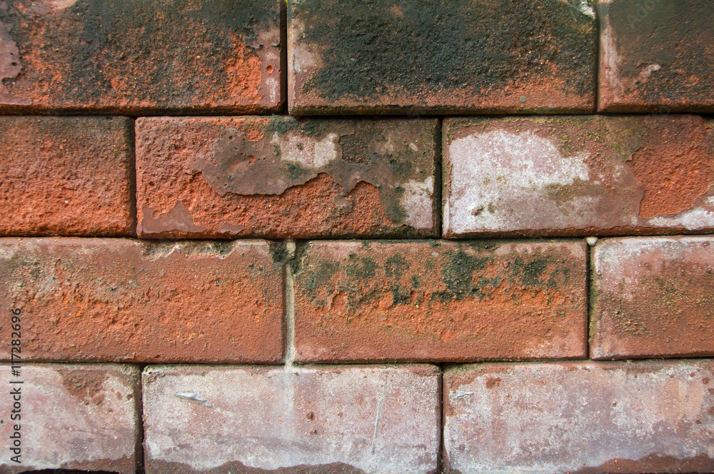 There are the brick wall. It is good background. There are the brick wall. It is good background.