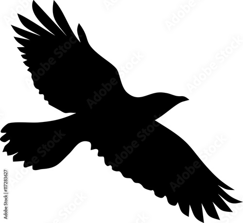 Silhouette of flying crow
