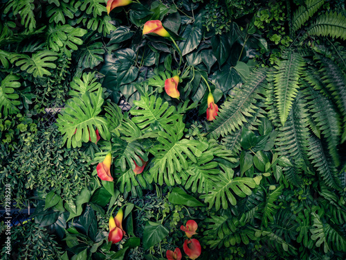 Fototapeta Naklejka Na Ścianę i Meble -  Fashionable green jungle summer background - in exotic vintage tone