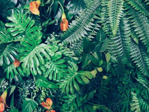 Obraz Modne zielone lato w dżungli - w egzotycznym tonie vintage