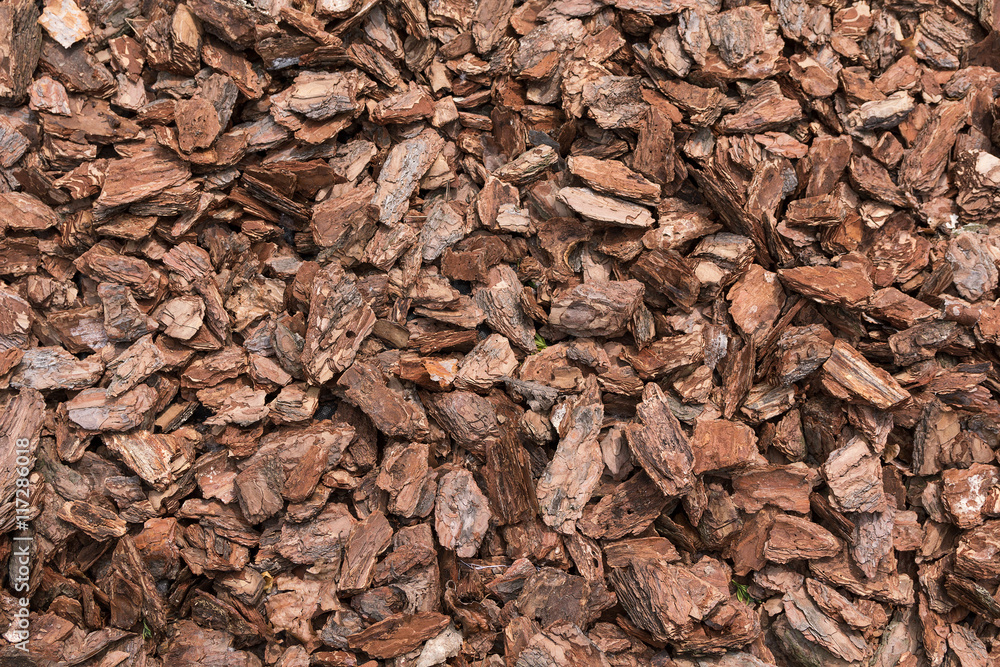 Natural bark used as a soil covering the garden. Background and Natural bark used as a soil covering the garden. Background and