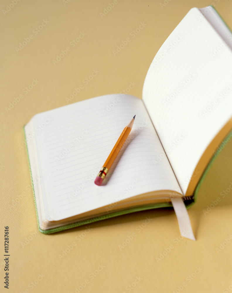 Pencil on open lined paper notebook Pencil on open lined paper notebook