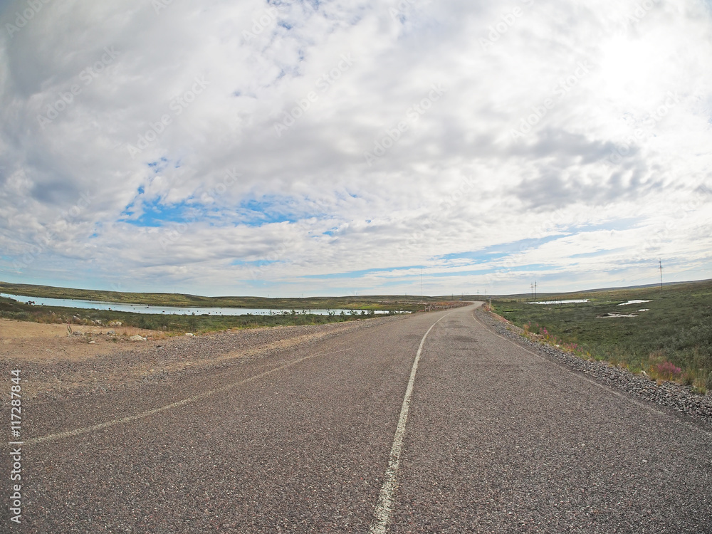 asphalt road in tundra in the north of Russia