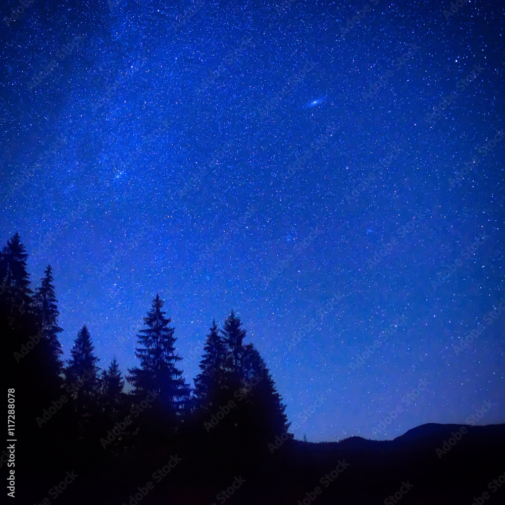 Dark blue night sky above the mystery forest Dark blue night sky above the mystery forest
