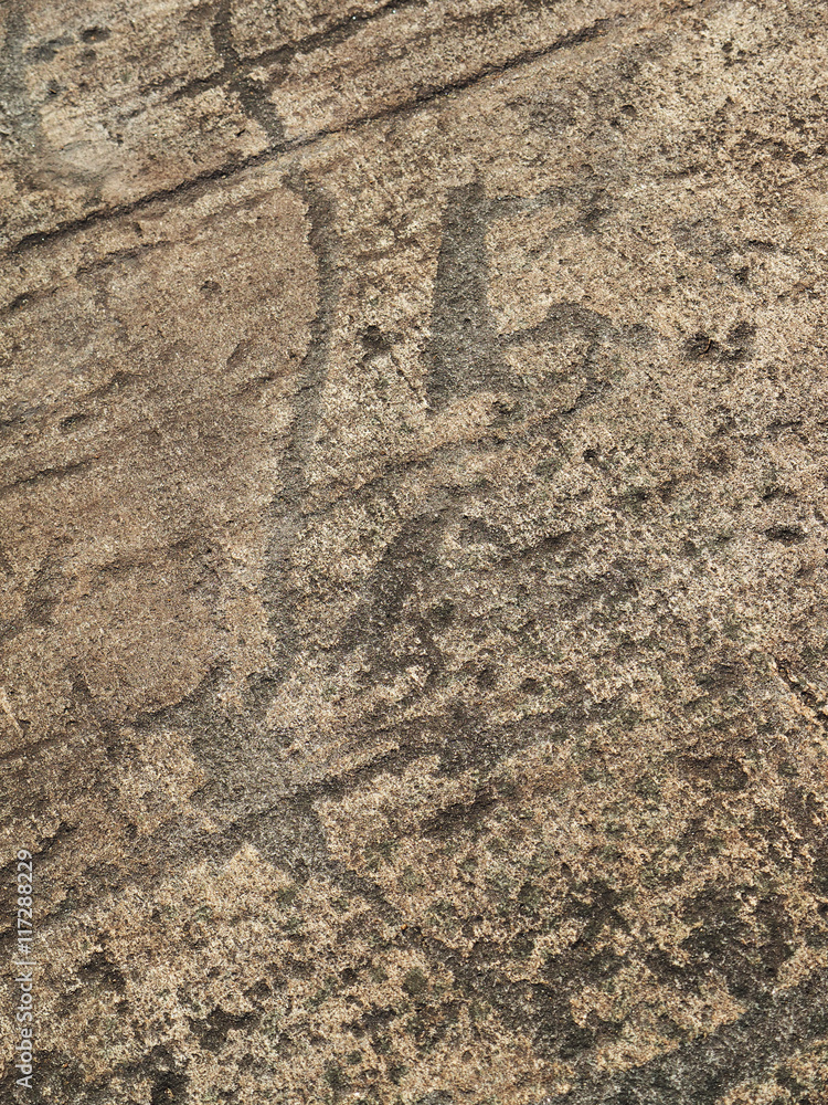 Fototapeta premium White Sea petroglyphs
