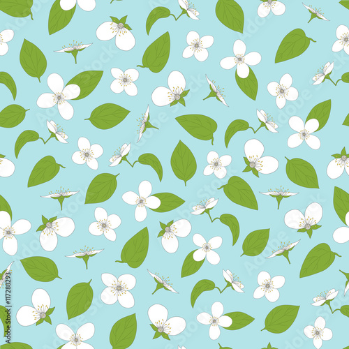 Jasmine seamless pattern. Hand-drawn flowers