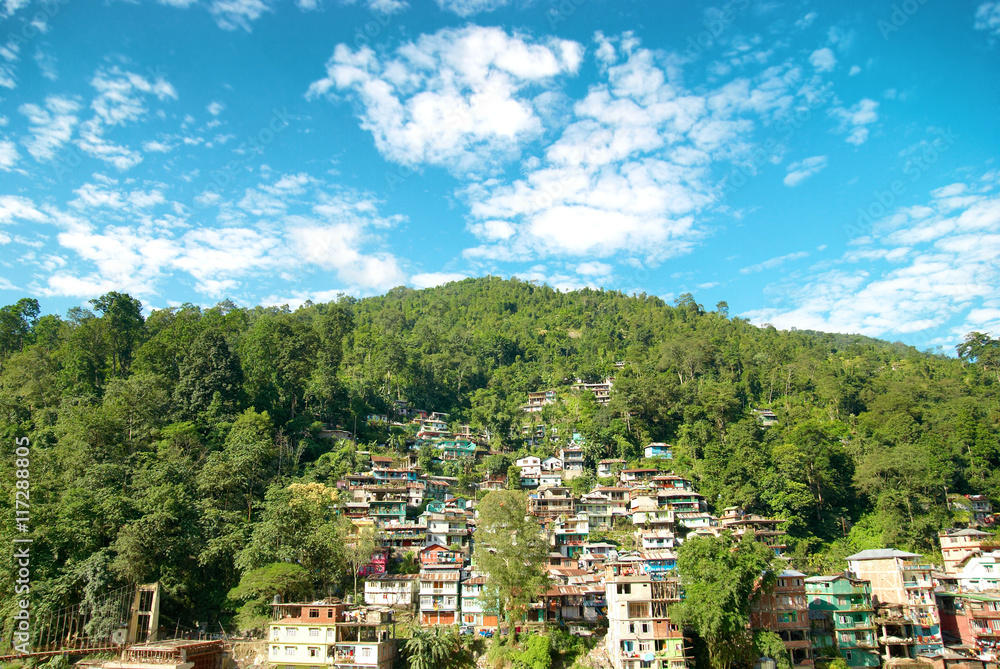 Fototapeta premium Houses in a town on green hill