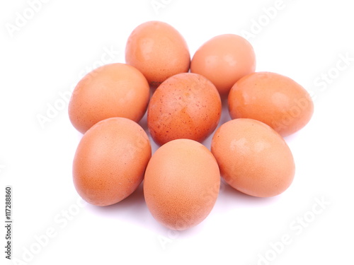 Chicken eggs on a white background