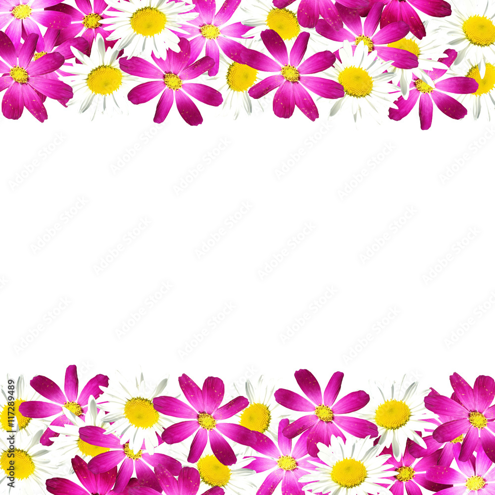 Fototapeta premium Beautiful floral background of purple and white flowers 