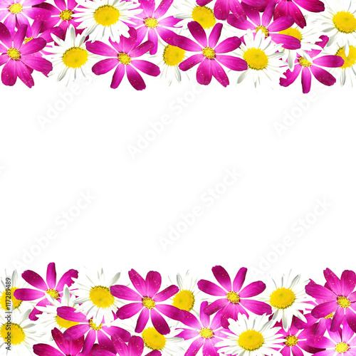 Fototapeta Naklejka Na Ścianę i Meble -  Beautiful floral background of purple and white flowers 
