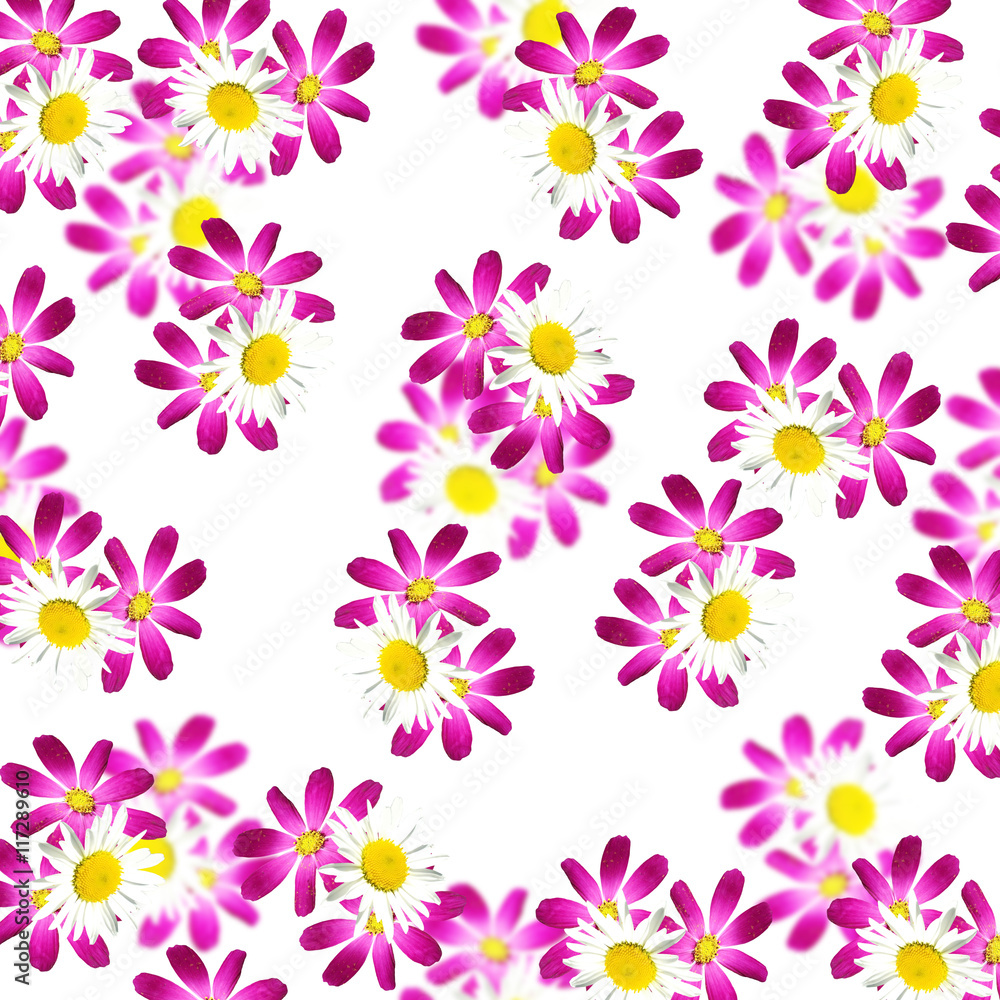 Beautiful floral background of purple and white flowers Beautiful floral background of purple and white flowers