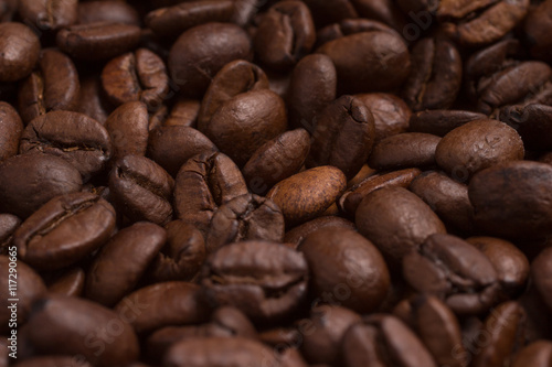 Close-up on Coffee beans. Coffea arabica.