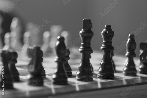 Chess pieces in black and white