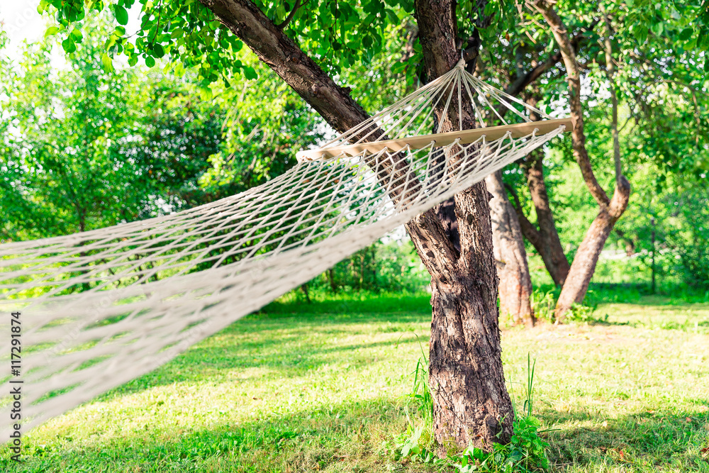Fototapeta premium White hammock among the trees