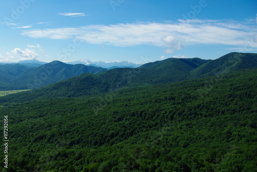Mountain landscape forest sky summer © nellino7