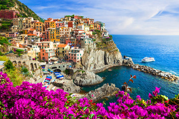 Papier peint photo Ligurie Manarola entre fleurs roses printanières  © Freesurf