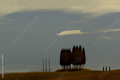 Trees on hillside in rural landscape
