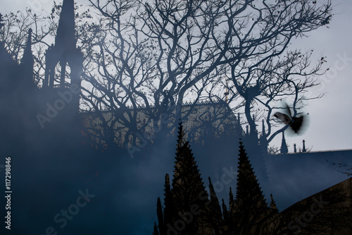 Church with trees, bird in flight in foreground